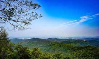 帽峰山海拔多少米(广州帽峰山森林公园简介)