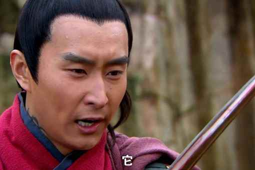 杨再兴是杨家将的后代吗(至于杨再兴是杨家将哪位的后人答案是哪位也不是)
