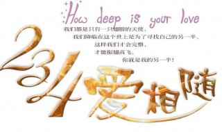 数字代表的爱情含义(情感语录:一生一世就爱你)