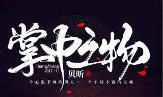 掌中之物小说介绍(掌中之物小说简介)