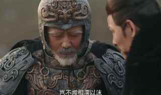 以及关于司马炎的简介(司马炎寿命)
