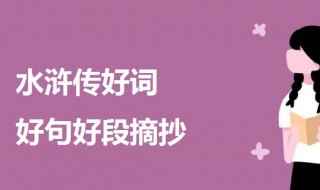水浒传好词好句好段摘抄大全(2019水浒传好词整理)