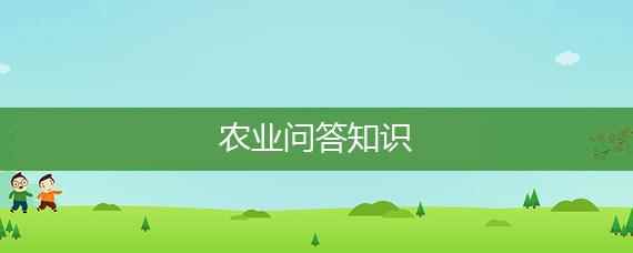 葵花凤头鹦鹉有何形态特征和生活习性(葵花凤头鹦鹉的生活习性)