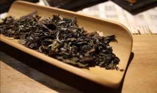 真假老白茶分辨方法(老白茶的特点有哪些)