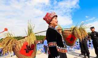 新谷节是什么民族的节日(2019年新谷节旅游攻略)