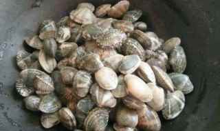 煮蚬子的做法多长时间(蚬子煮2分钟的做法)