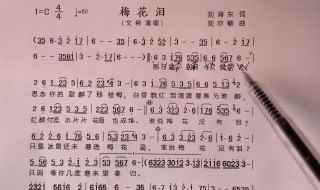 梅花泪歌词介绍(《梅花泪》歌词如下:那日君一别今又雪花飞思念你的歌醉了)