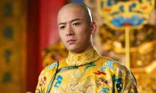 康熙有多少个皇子和公主(康熙传位给谁)