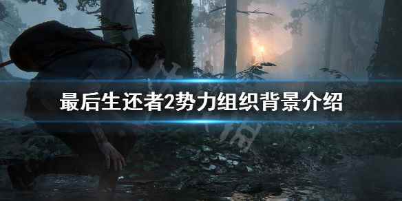 美国末日2势力怎么划分的(最后生还者2势力组织背景介绍)