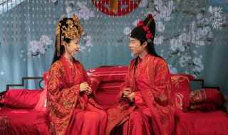 赘婿演员表简单介绍(赘婿演员表有谁)