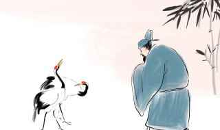 白居易是什么朝代的人(白居易是什么朝代的)