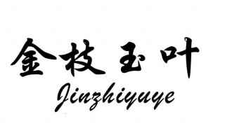 电视剧金枝玉叶剧情介绍(2001年台湾78集电视剧金枝玉叶)