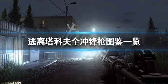 逃离塔科夫全冲锋枪属性详解(逃离塔科夫全冲锋枪图鉴一览)
