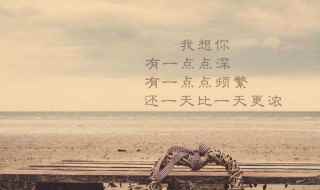 这几句分享给大家(深爱一个人的经典句子)