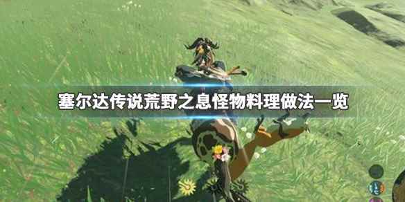 塞尔达传说荒野之息怪物料理怎么做(塞尔达传说荒野之息怪物料理做法一览)