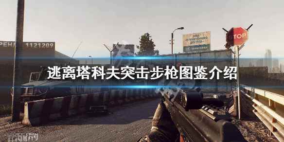 逃离塔科夫全突击步枪弹药型号一览(逃离塔科夫突击步枪弹药型号有哪些)
