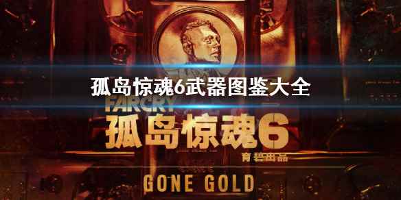 孤岛惊魂6武器图鉴大全(孤岛惊魂6全武器种类有哪些)