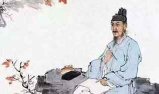 诗圣简单介绍(谁是诗圣)