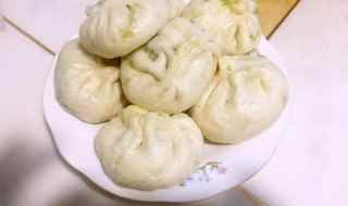 白菜素包子怎么做(白菜素包子馅的做法)