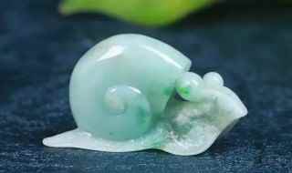 玉雕蜗牛的寓意(蜗牛还寓意着一生不断努力追求幸福)