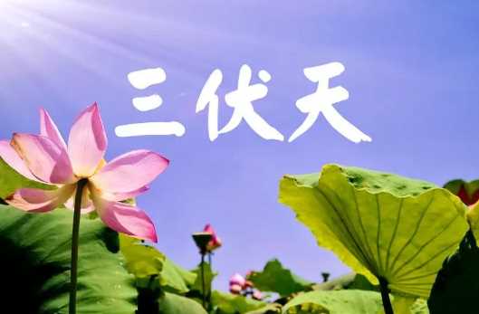2023年三伏天比2022年三伏天热吗(三伏天一般多少度35摄氏度以上)